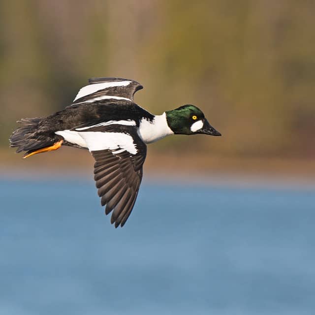British Columbia