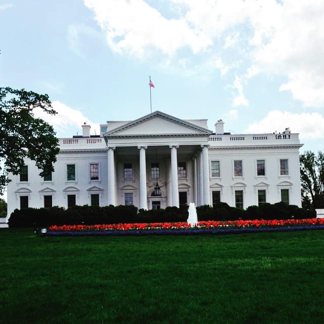 usa_laws