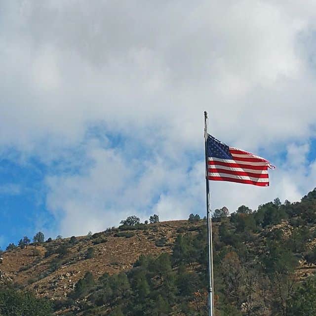 usa_nalog