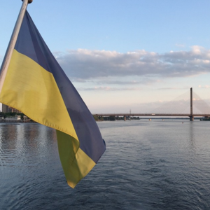 Декларации в Украине