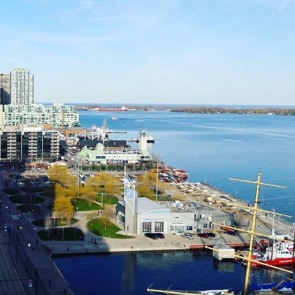 Tax transparency of Canada