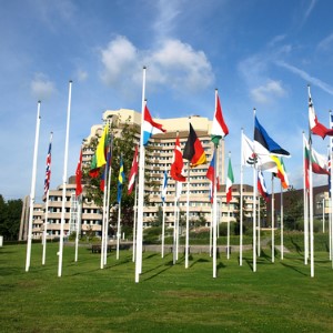Flags on a glade